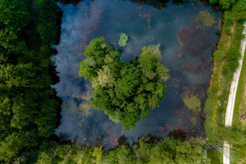 Biosférická rezervace UNESCO Vřesoviště a rybníky Letecký pohled