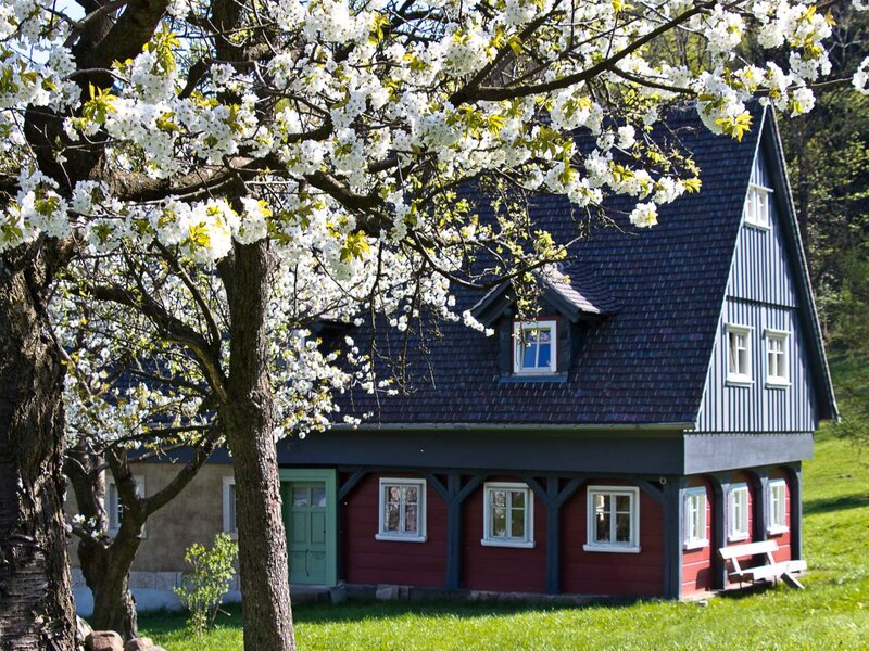 Half-timbered house