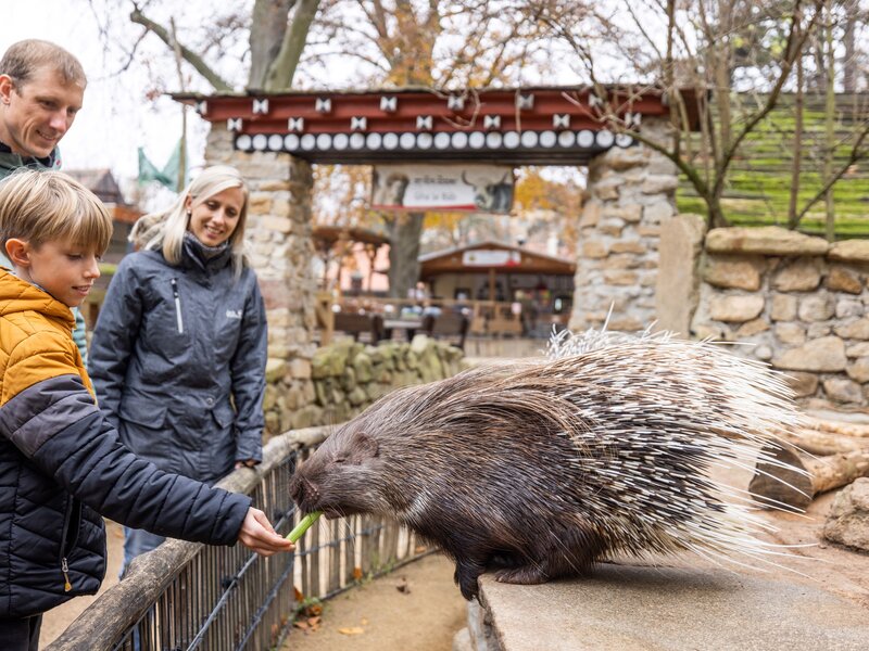 Rodinný výlet do přírodní rezervace Goerlitz Zgorzelec Animal Park