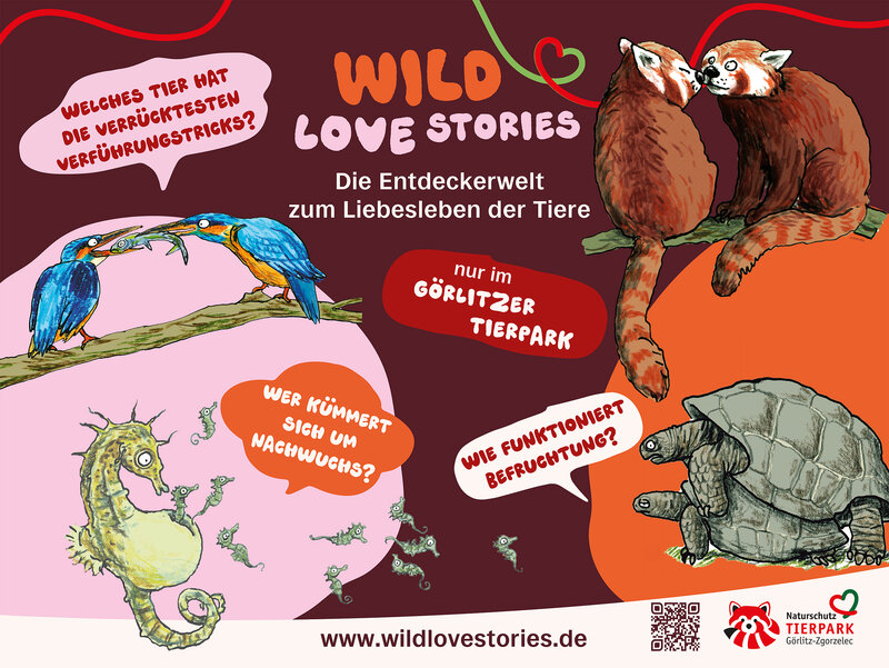 Abbildung Görlitz Zoo