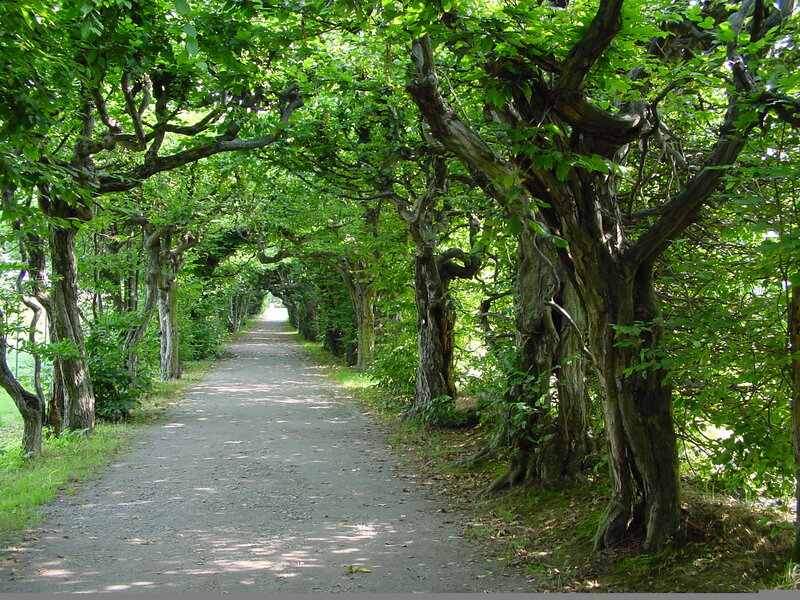 Pulsnitz castle park arcade