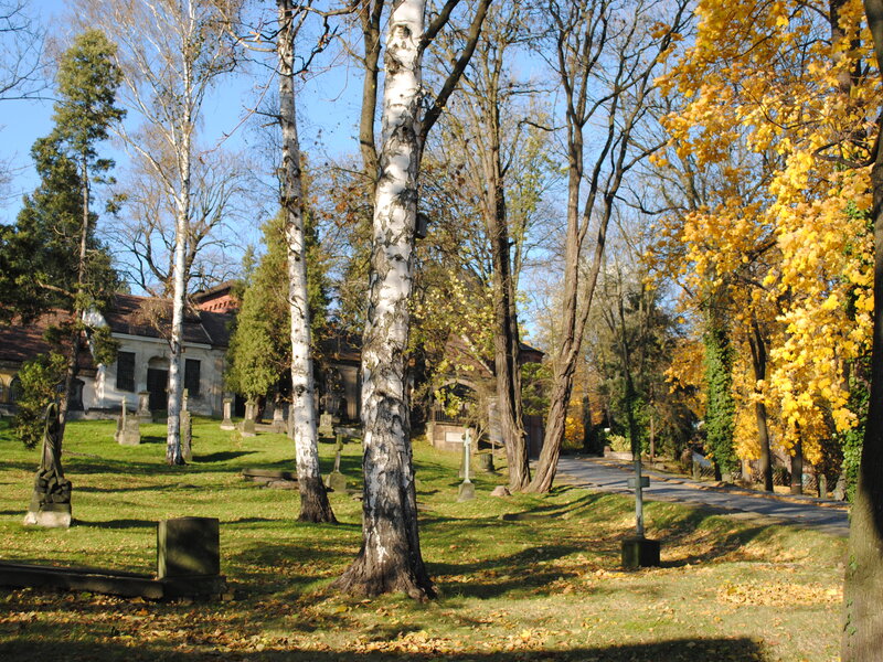 Goerlitz Nikolai cemetery