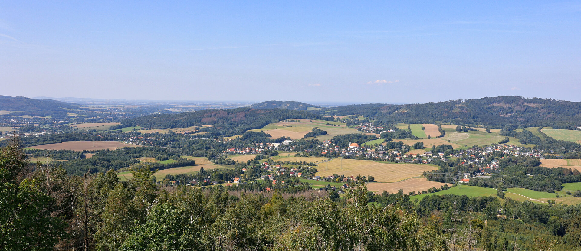 Borkenkäfer in der Oberlausitz Baustelle Natur