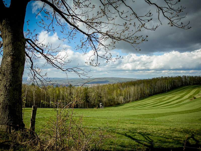 Landschaft