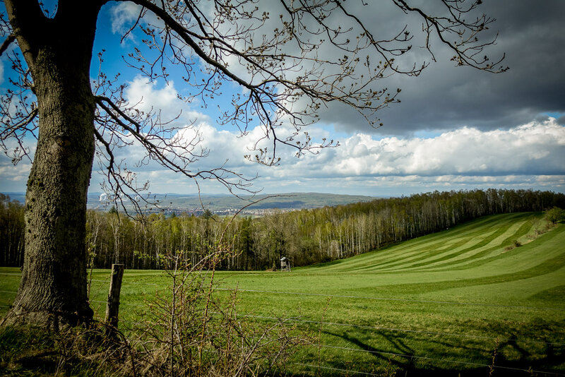 Landschaft