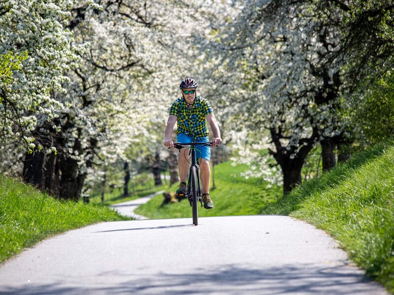 Cycle path to Prietitz Grafox GmbH