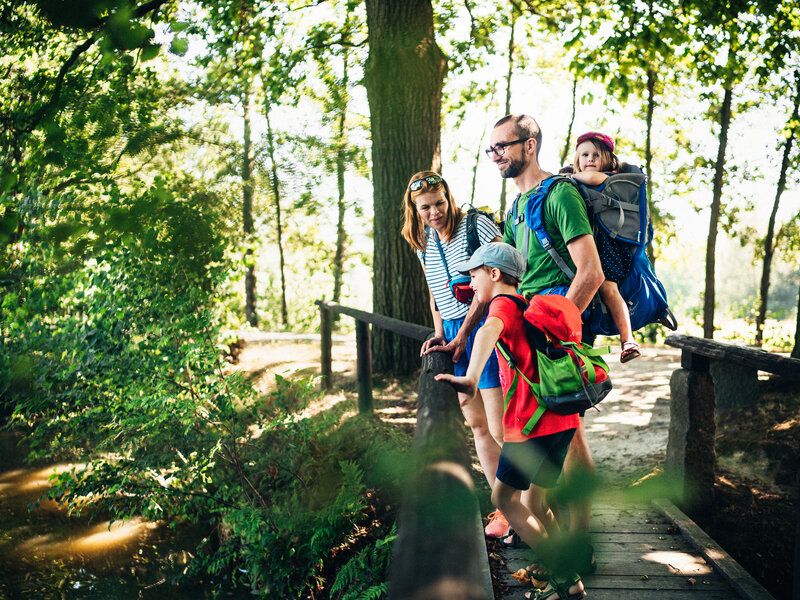 Hiking in West Lusatia