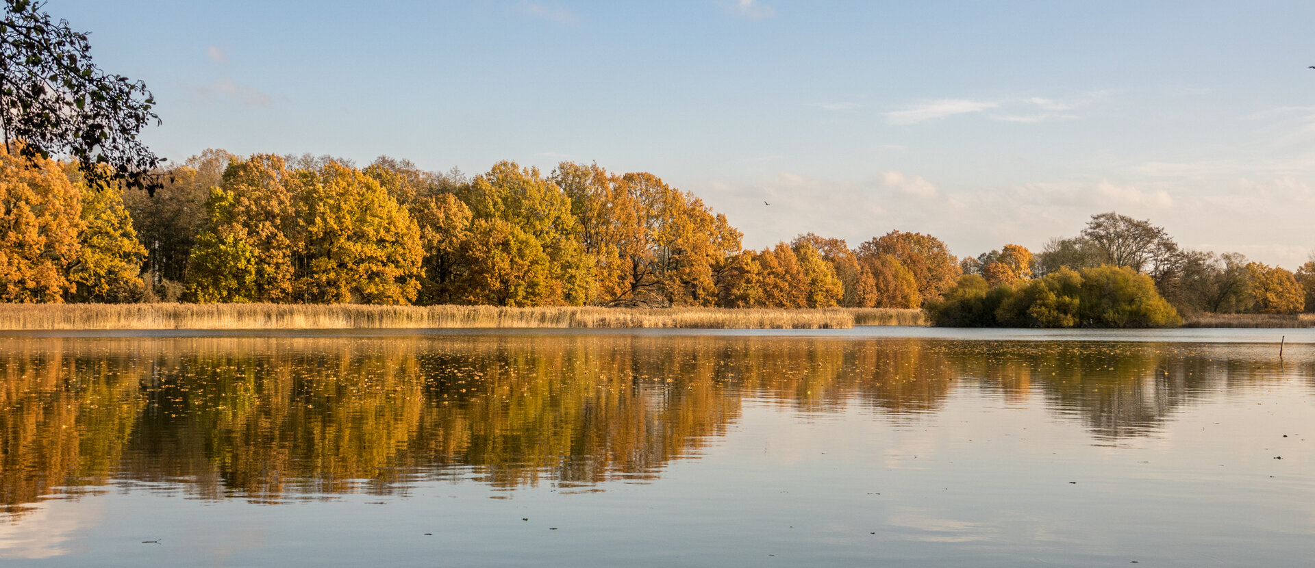 Staw Grossdubrau Nowy staw Kauppa Staw Grossdubrau Nowy staw Kauppa