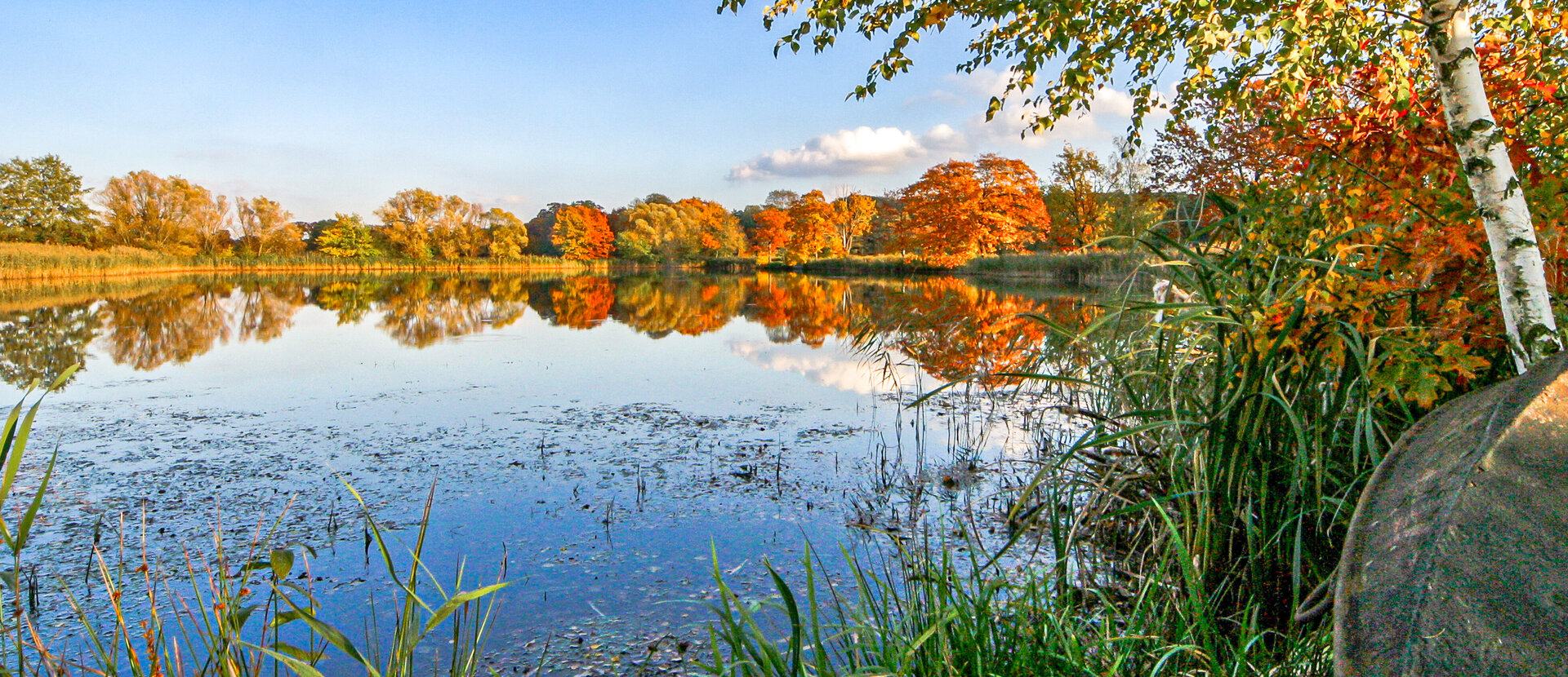 Blick auf einen Teich in der Oberlausitz im Herbst