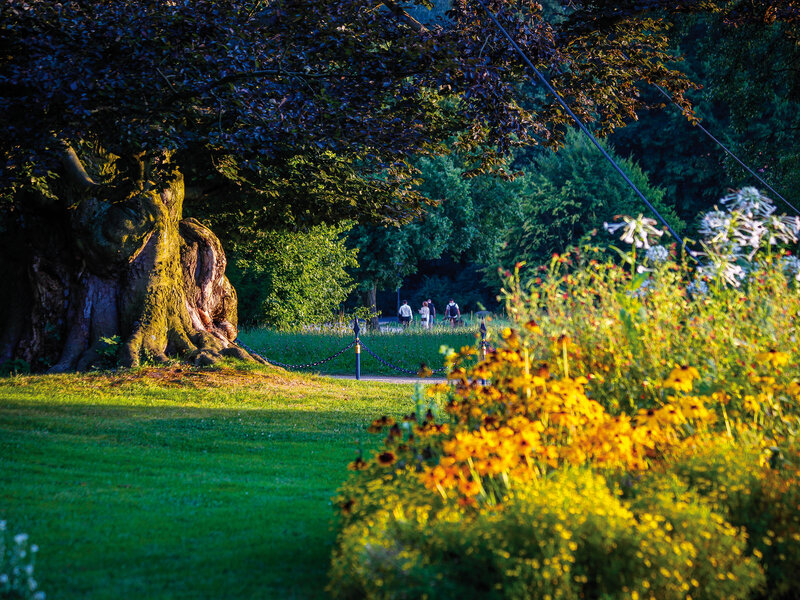 Abbildung Muskauerův park