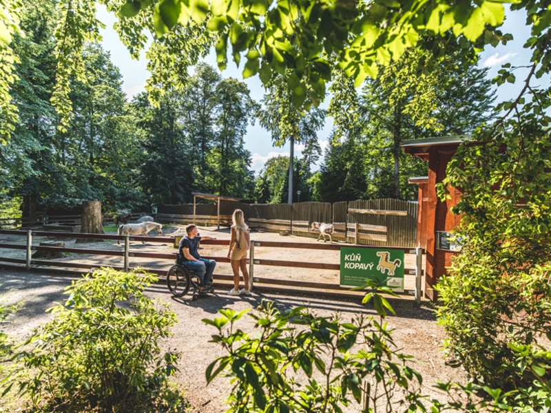 Zoologická zahrada Liberec