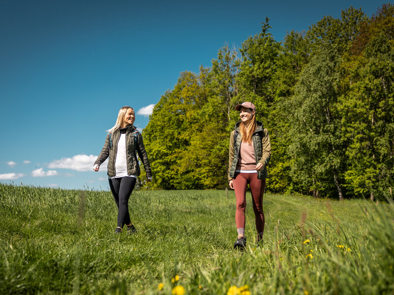 Abbildung Wandern auf dem Oberlausitzer Bergweg © Philipp Herfort