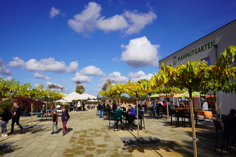 Mammoth garden terrace organic market