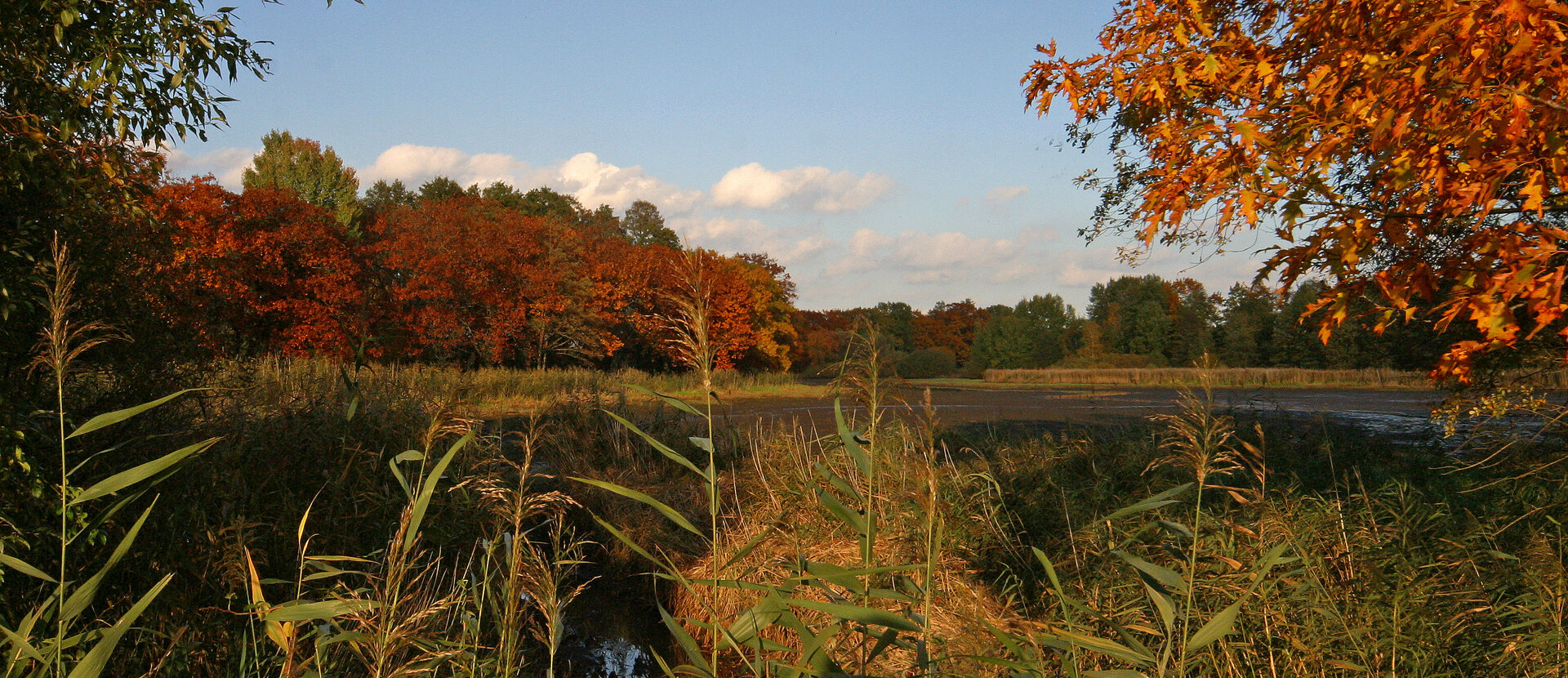 Urlaubsregion Oberlausitz 