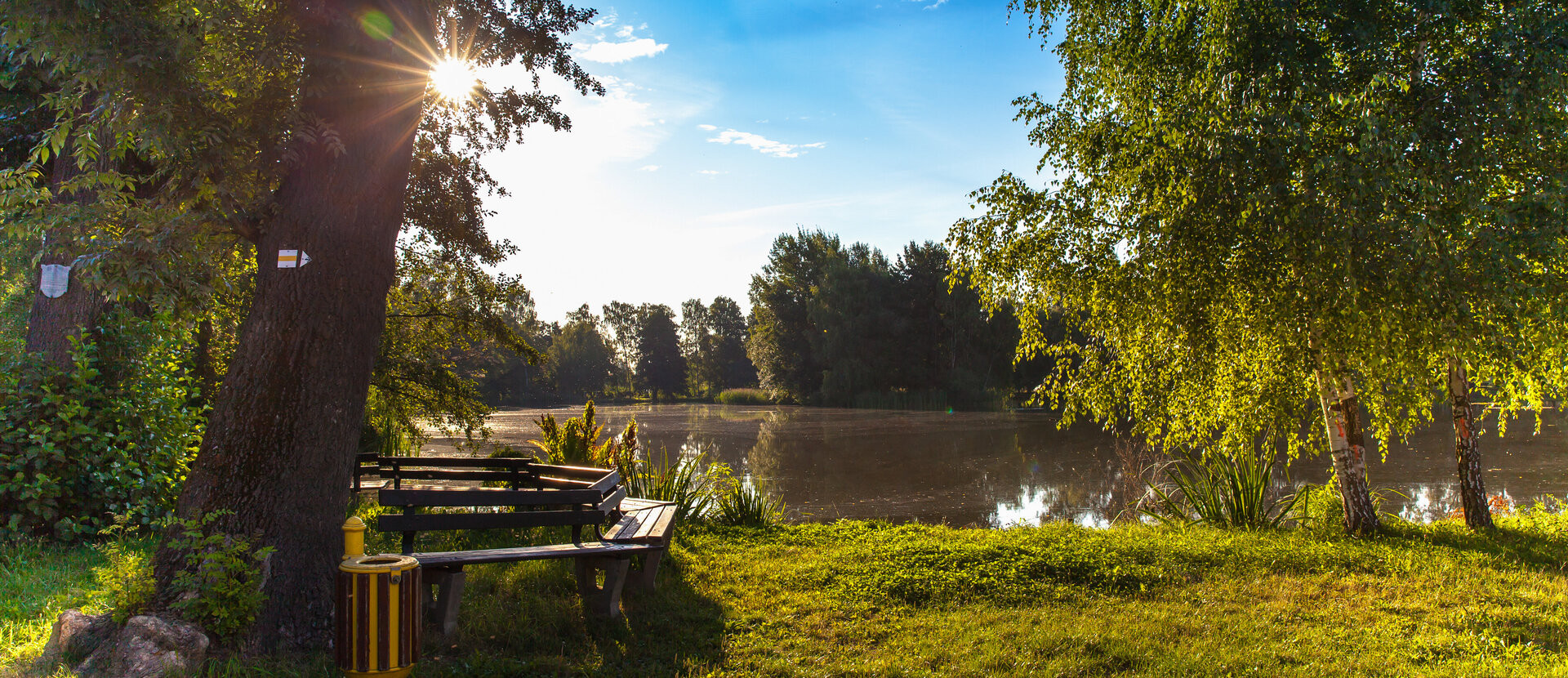 Heide- und Teichlandschaft (Foto: Torsten Kellermann) Heide- und Teichlandschaft (Foto: Torsten Kellermann)