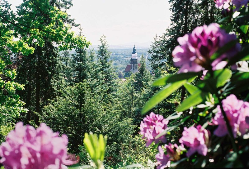 Kamenz Blick vom Hutberg zur Marienkirche