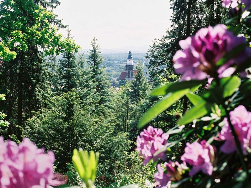 Kamenz Blick vom Hutberg zur Marienkirche