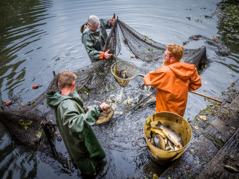 Fishing Rietschen