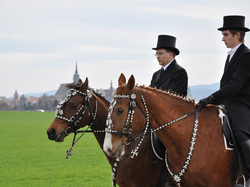 festlich gekleidete sorbische Osterreiter in Bautzen