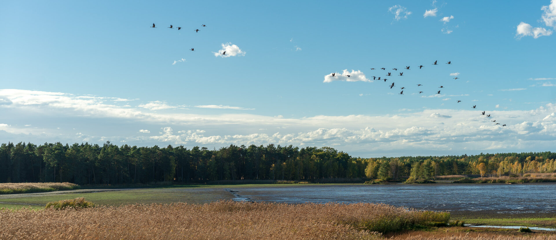 Teichlandschaft