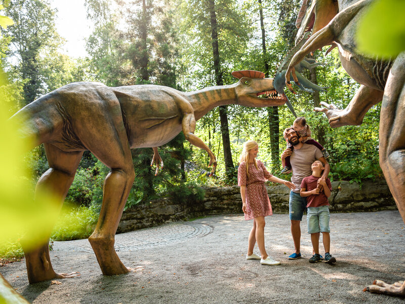 Eine Reise in die Zeit der Giganten