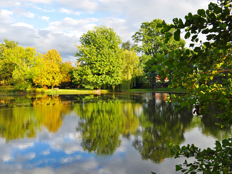 Koenigswartha castle pond