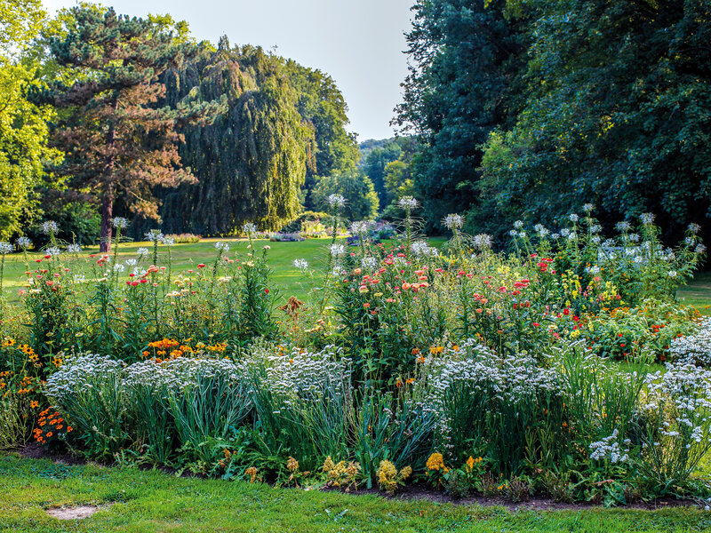 Letnie kwiaty w Herrengarten