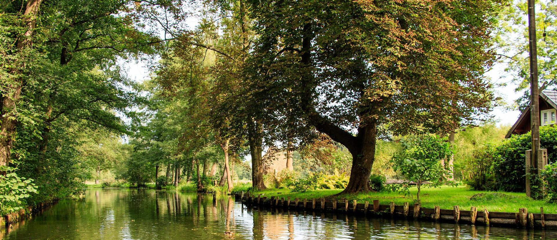 Rezerwat biosfery UNESCO Spreewald Zielona Wenecja