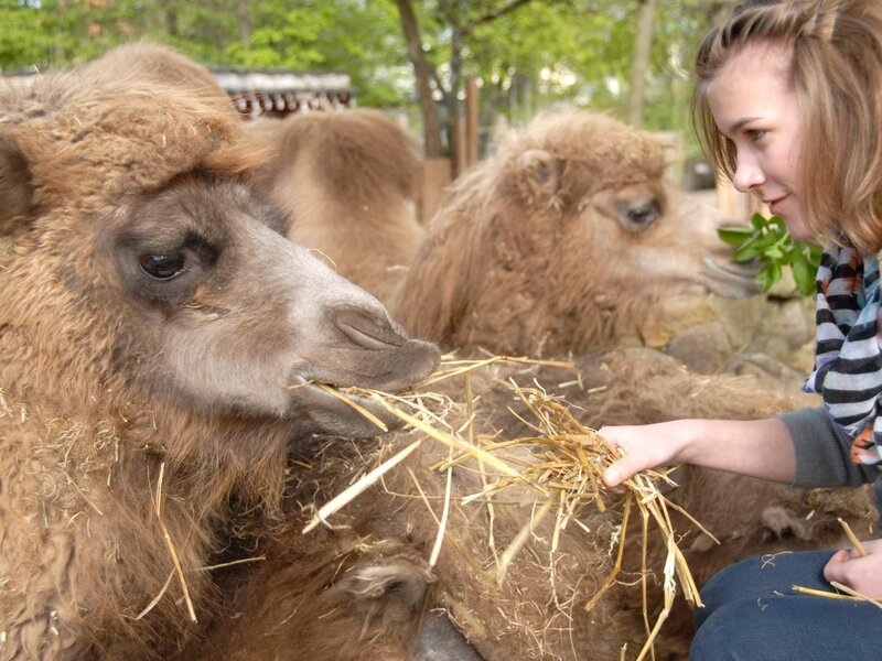 Tierpark Goerlitz