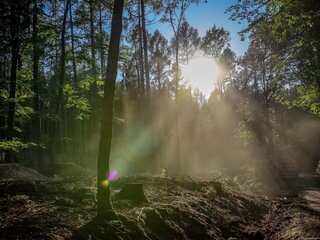 MTB Tour Lückendorf-Weißbachtal-KrisitnaSee