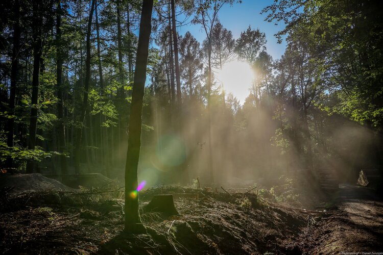 MTB Tour Lückendorf-Weißbachtal-KrisitnaSee