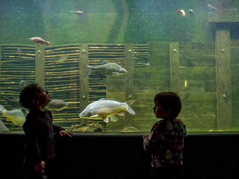 Aquarium Haus der Tausend Teiche