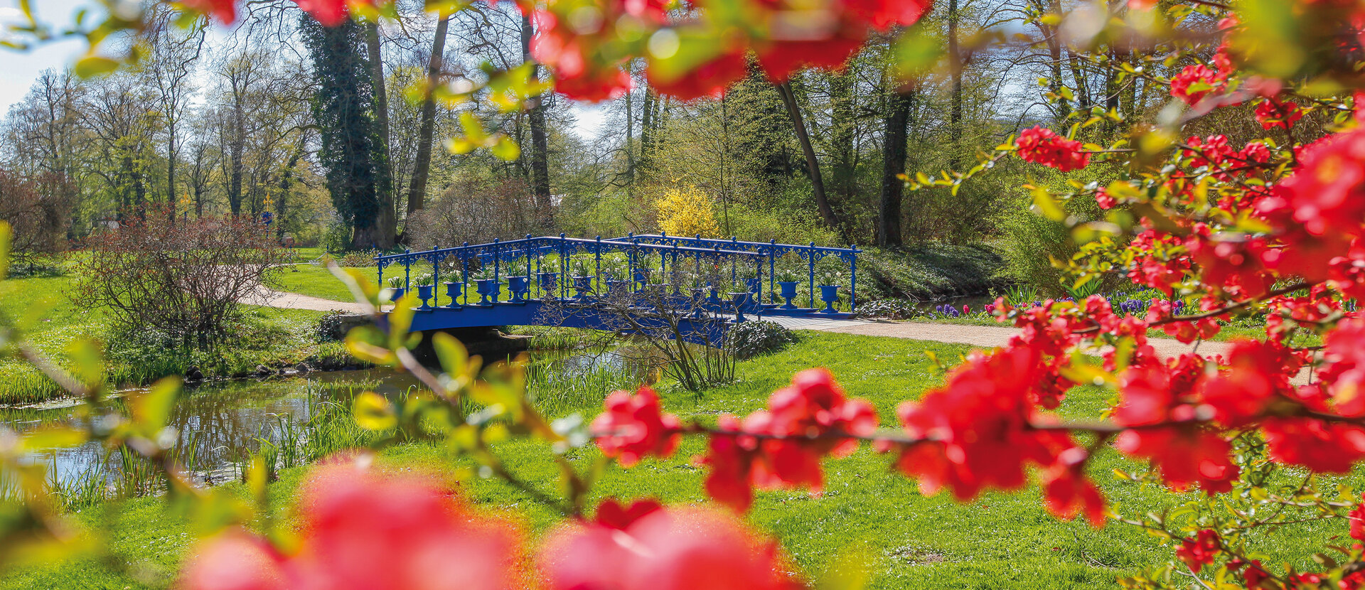 Fuchsienbrücke im UNESCO-Welterbe Muskauer Park