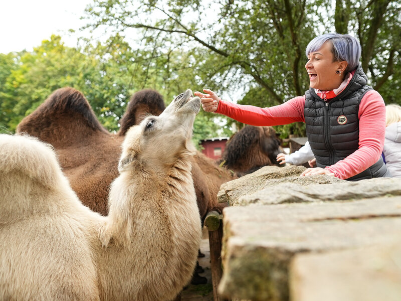 Tierpark Goerlitz