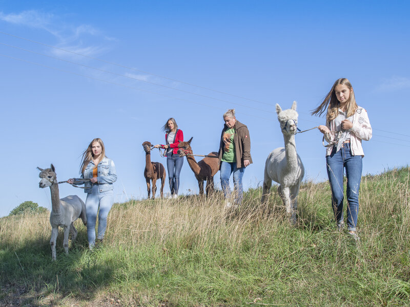 Wandern im Lausitzer Seenland