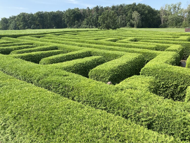 Irrgarten am Saurierpark