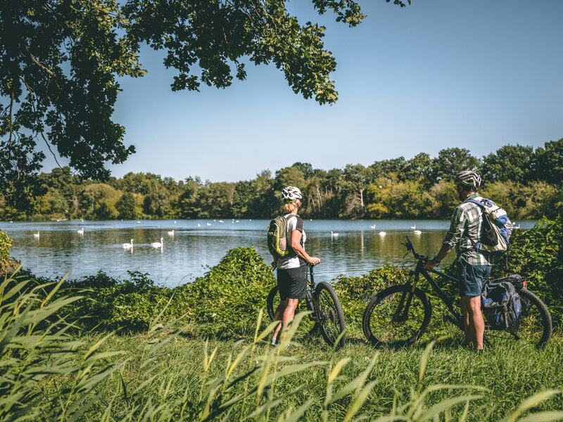 Cyclists in the OHTL