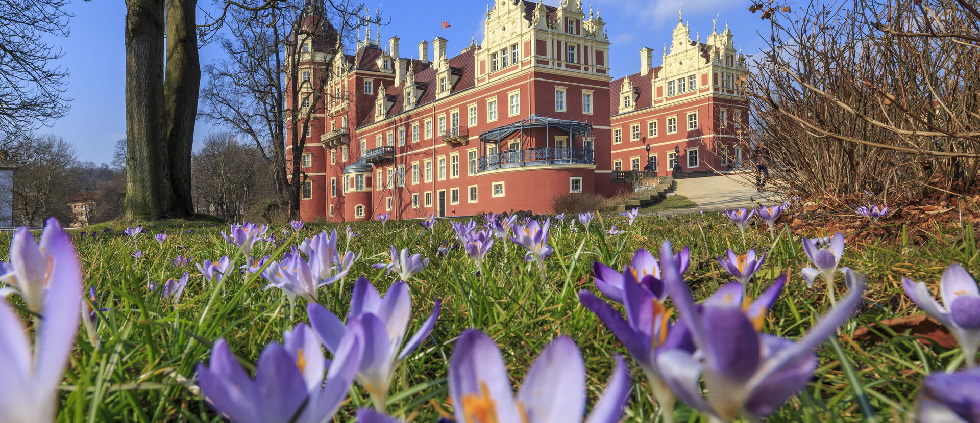 Neues Schloss im Frühling