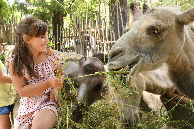 Naturschutz-Tierpark Görlitz-Zgorzelec