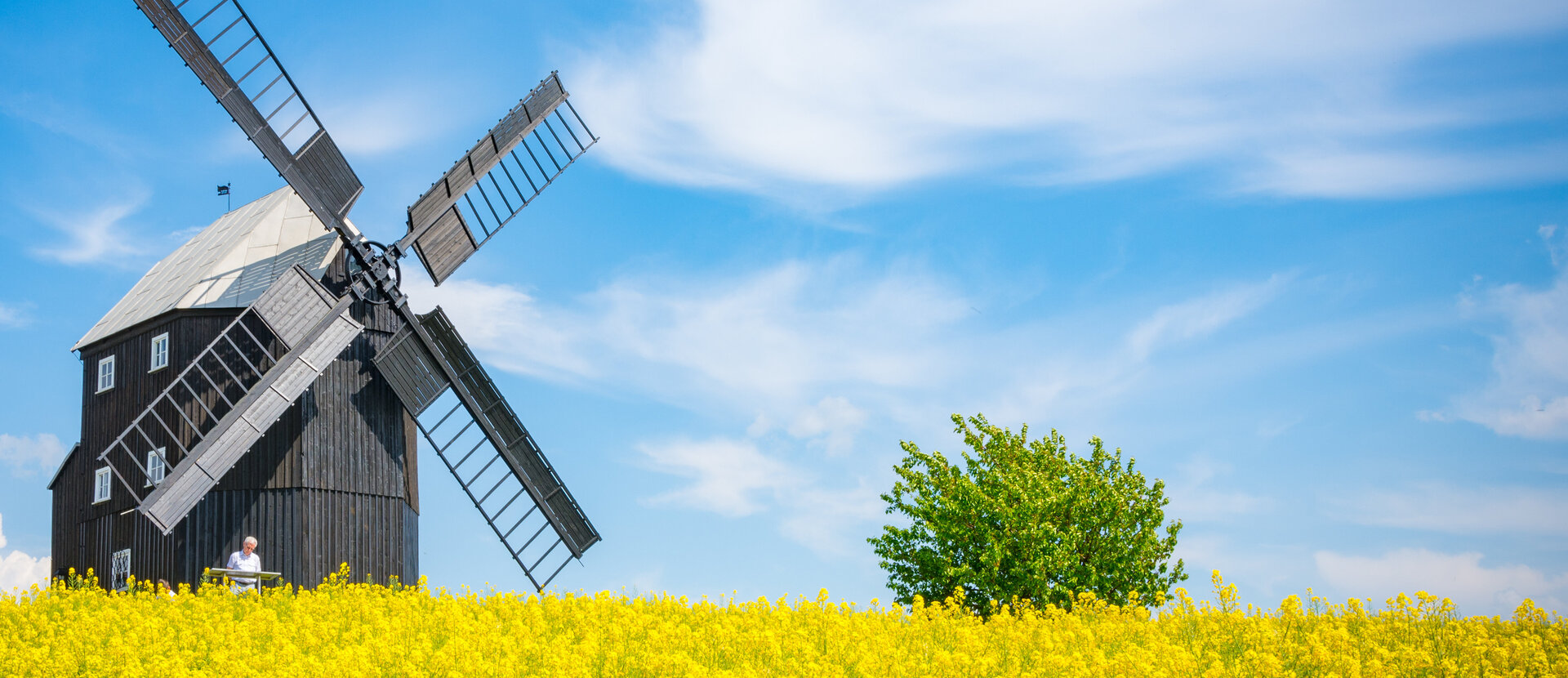 Die Bockwindmühle in Kottmarsdorf (Foto: Peter Wilhelm) Die Bockwindmühle in Kottmarsdorf (Foto: Peter Wilhelm)