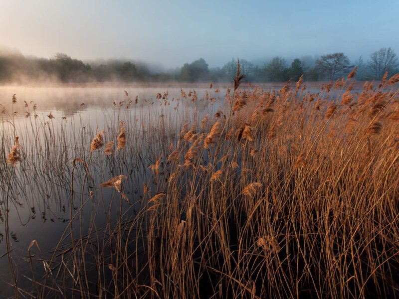 Land der Tausend Teiche