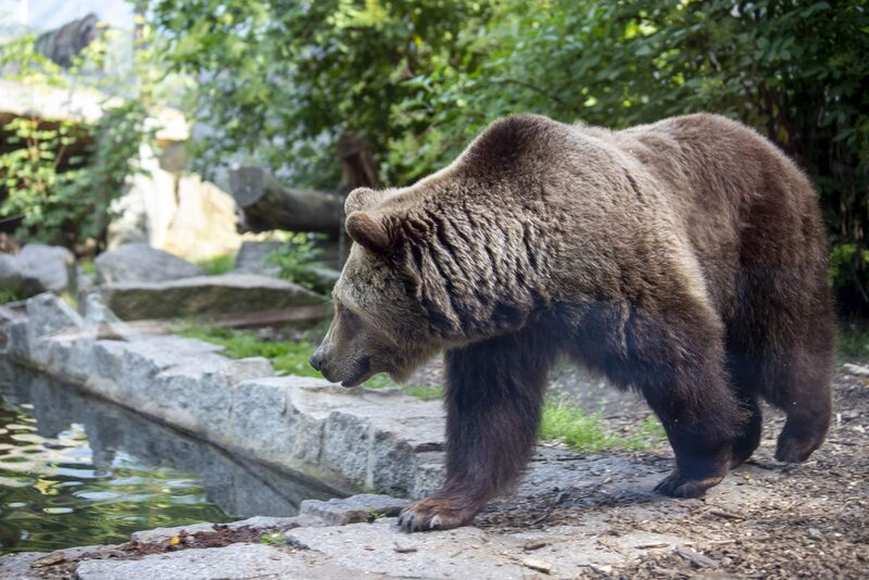 Animal and culture park Bischofswerda