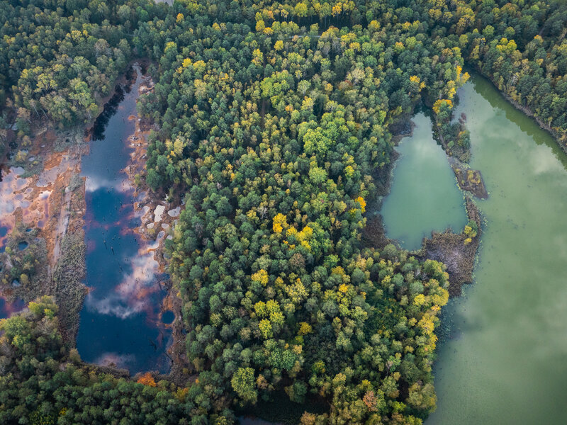 Abbildung Philipp Herfort