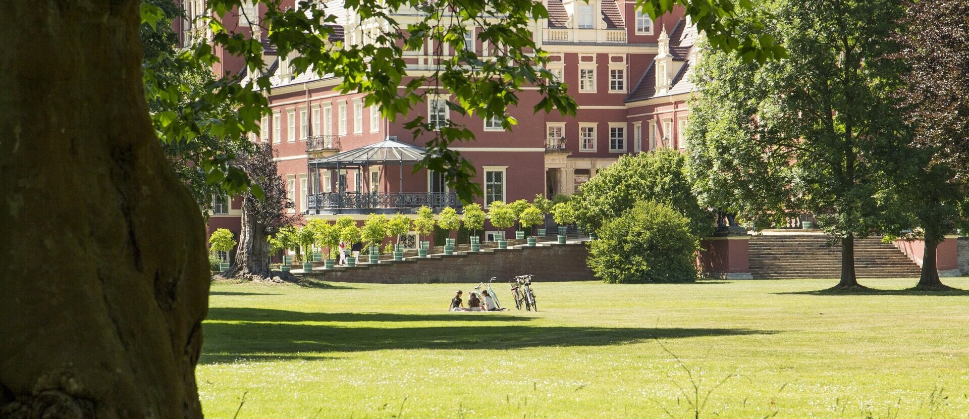 Wiese vor dem neuen Schloss im Muskauer Park