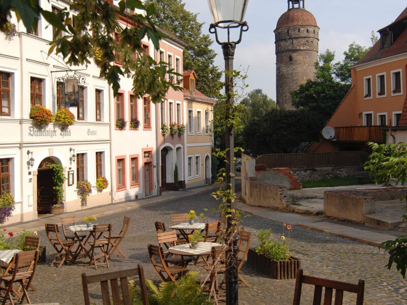 Altstadt Buettnerstrasse Dreibeiniger Hund