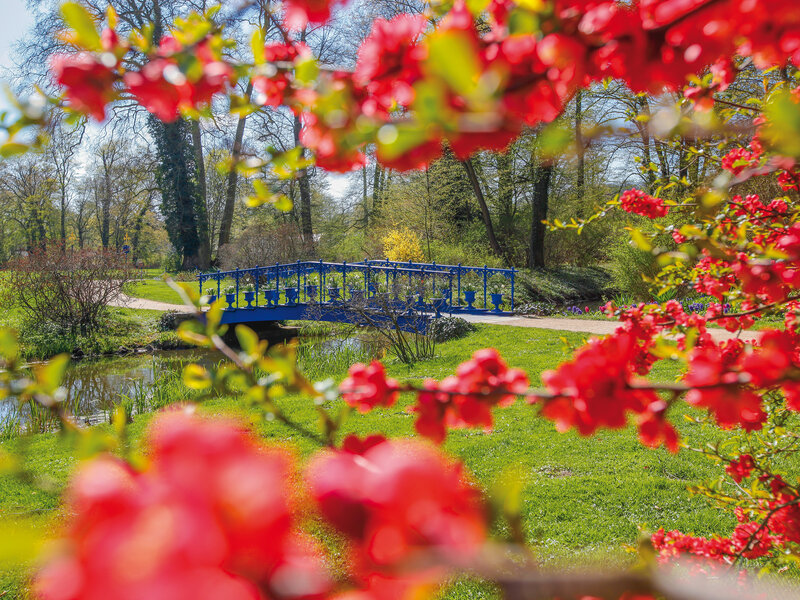 Fuchsienbrücke im Frühling