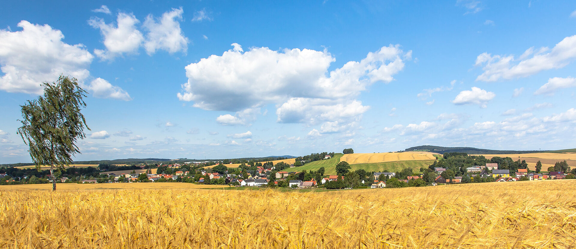 Westlausitz Kultur aktiv erfahren