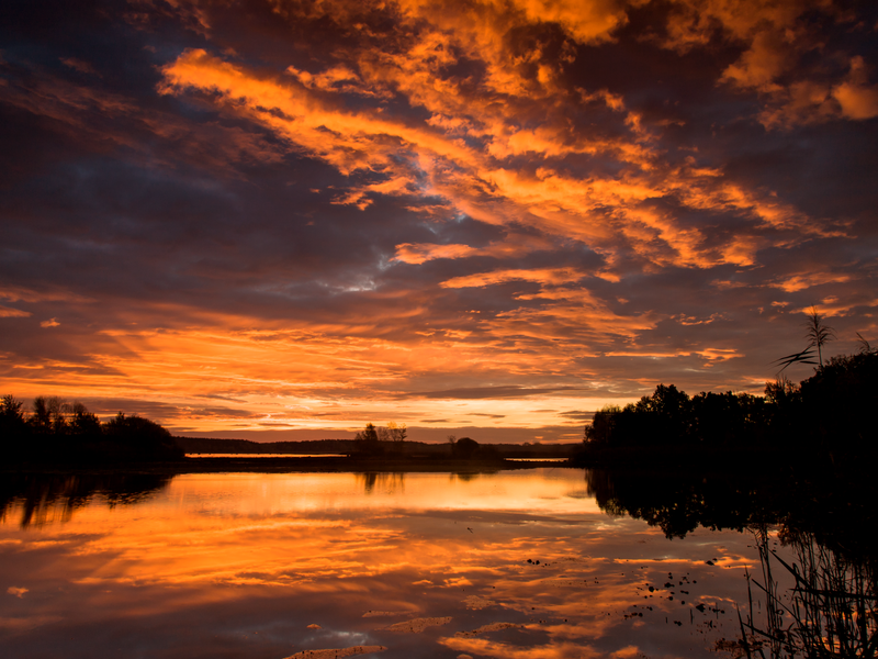 Sunset heath and pond landscape