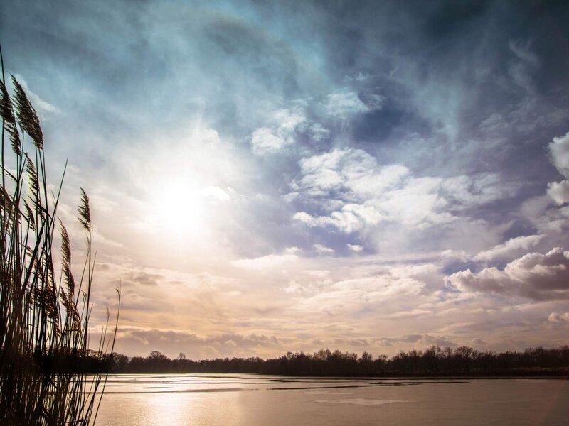 Stimmungsvolle Heide und Teichlandschaft