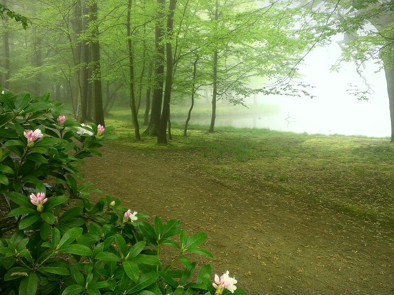 Schlosspark Neschwitz